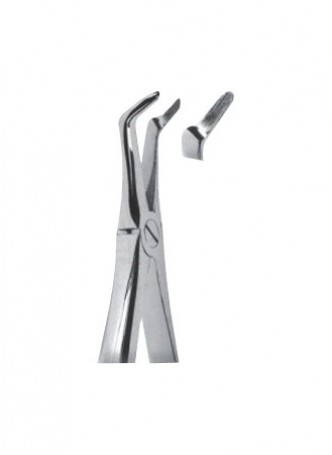 Extracting Forceps